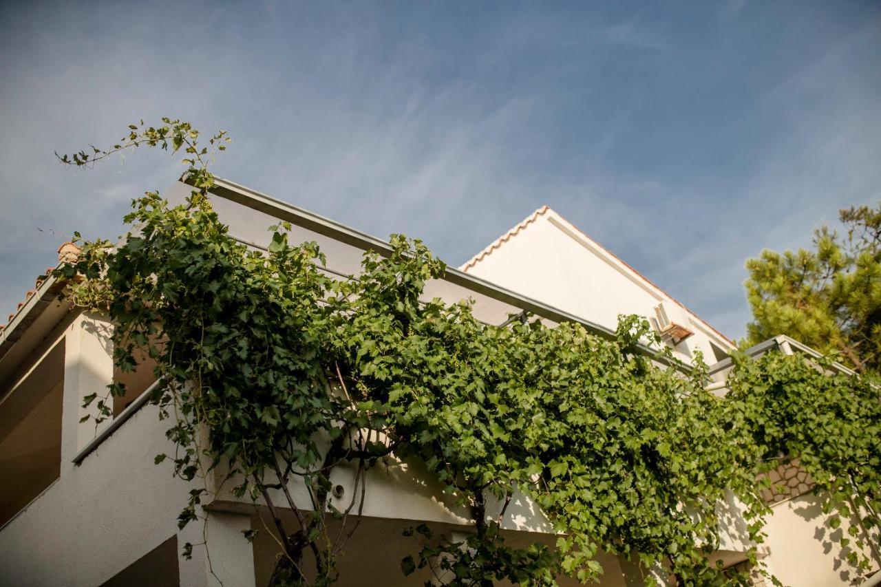 Guesthouse Sime Kolan Bagian luar foto